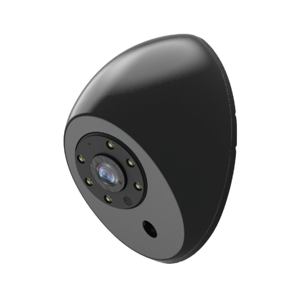 Caméra Rosco 170° à montage latéral/arrière avec LED IR | STSC211B